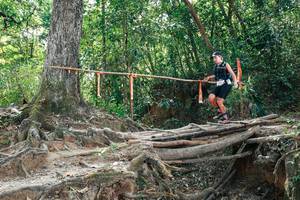 BIB: 
                            <button type="button" onclick="openModal(27802500)" class="btn btn-primary btn-sm float-right btn-popup" data-toggle="modal" data-target=".modal-high-quality">
                        <i class="fas fa-shopping-cart"></i> Add to Cart
                    </button>
                                            <button type="button" onclick="isThisMe(27802500, true)" class="btn btn-success btn-sm float-right btn-popup btn-isme hidden" data-toggle="tooltip" data-placement="bottom" title="นี่คือรูปของคุณใช่ไหม คลิกที่นี่เพื่อเอาเข้าอัลบั้ม">
                        <i class="fas fa-plus"></i> Add to album
                    </button>
                    <button type="button" onclick="isThisMe(27802500, false)" class="btn btn-warning btn-sm float-right btn-popup btn-isnotme hidden">
                        <i class="fas fa-ban"></i> Remove from album
                    </button>